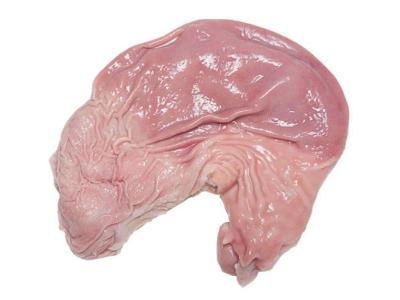 Bao tử heo là gì? Các cách chế biến nên thử