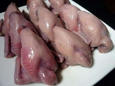 Chim cút giá sỉ tại TP HCM