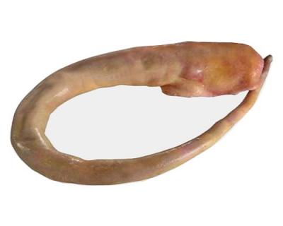 Đuôi trâu Allana mua giá sỉ ở đâu, công dụng của nó